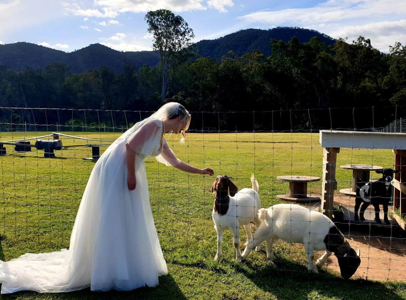 Fig Tree Farm B&B Highvale-Farmstay Near Brisbane! Eksteriør bilde