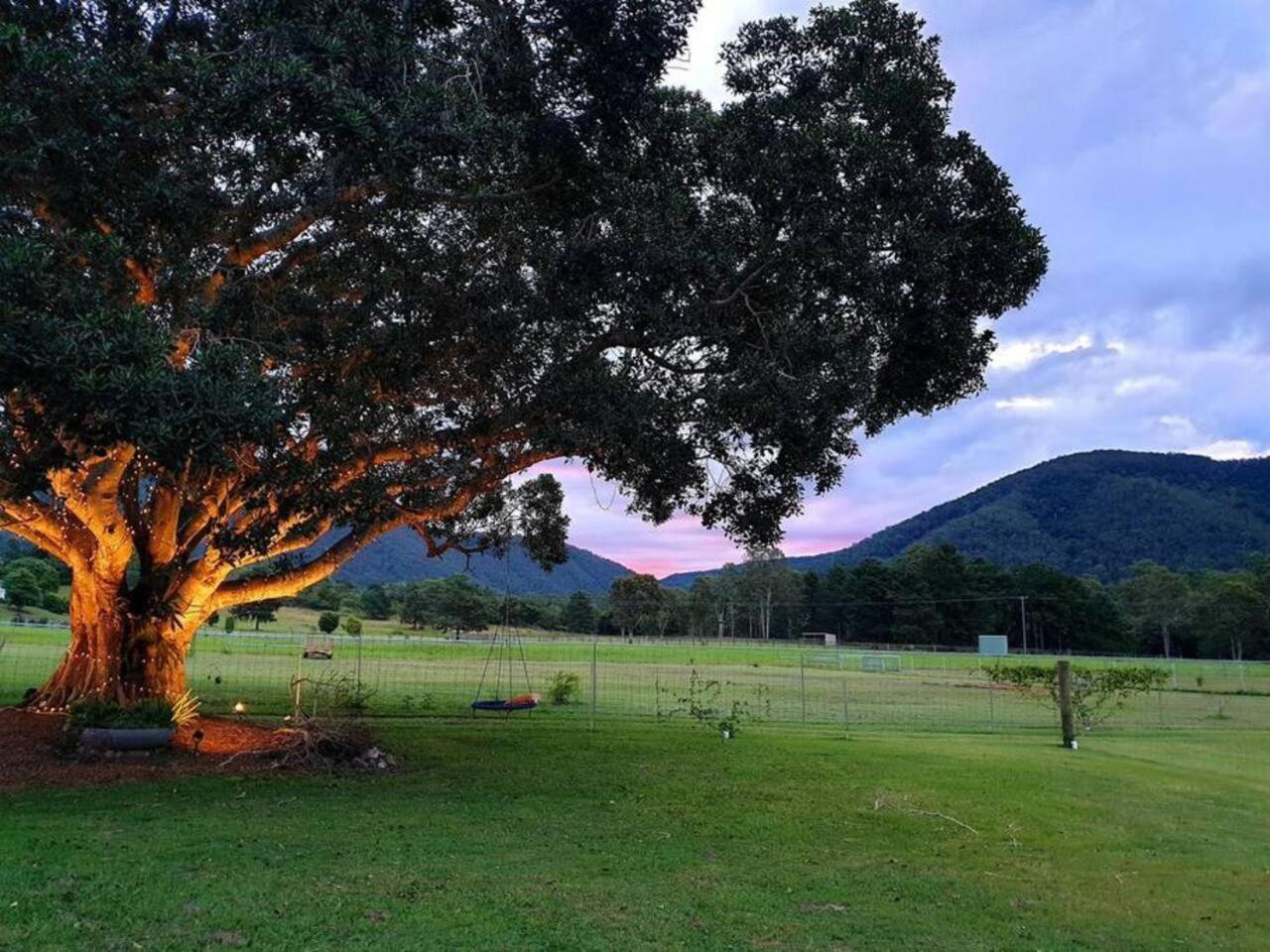 Fig Tree Farm B&B Highvale-Farmstay Near Brisbane! Eksteriør bilde