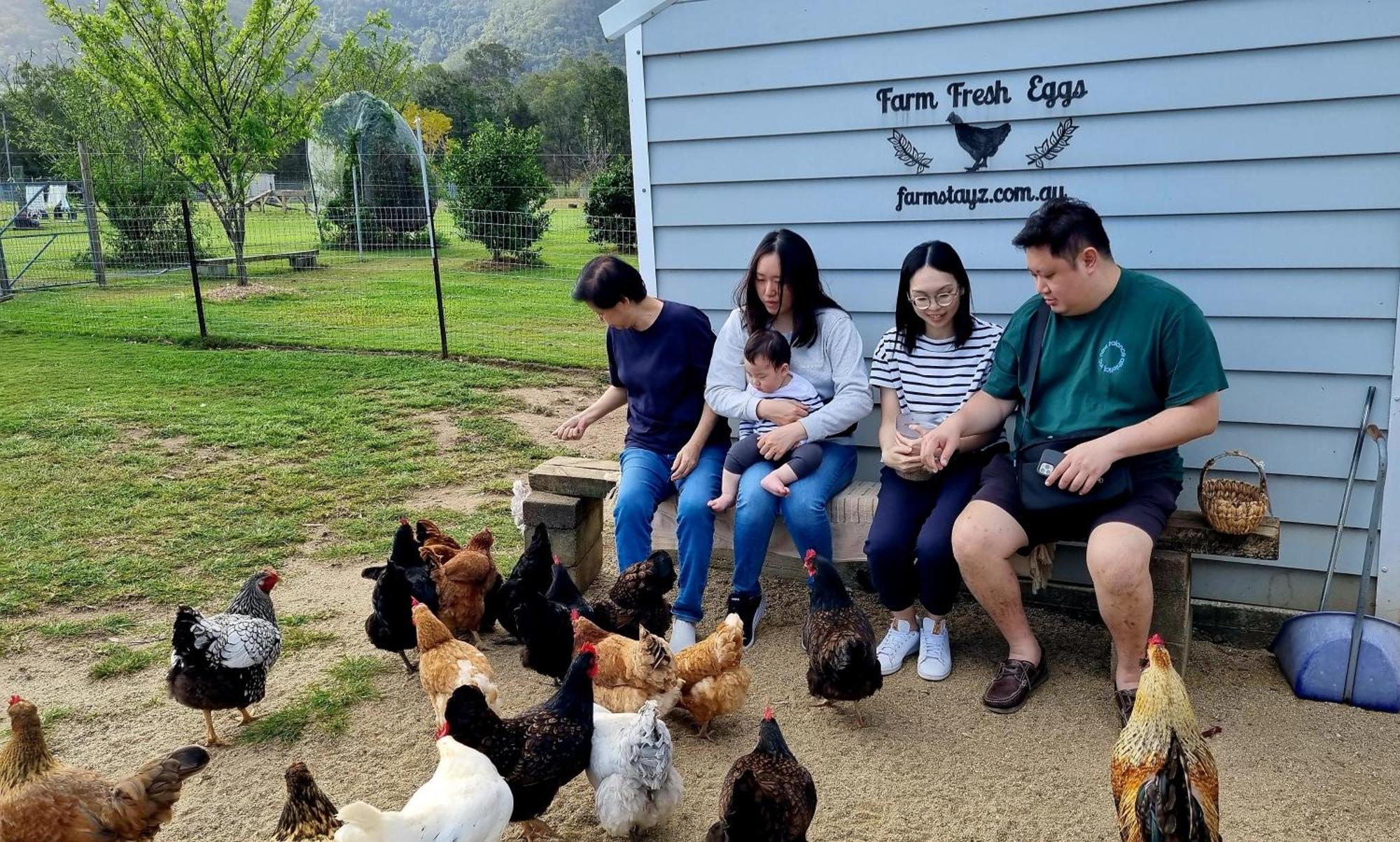 Fig Tree Farm B&B Highvale-Farmstay Near Brisbane! Eksteriør bilde
